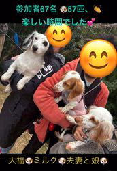 高井明美ブリーダーのブログ：親族会風景（11／23開催）