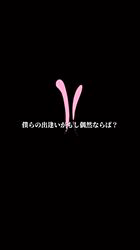 竹内愛ブリーダーのブログ：お迎え後のワンちゃん達