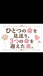 竹澤まりブリーダーのブログ：いのち