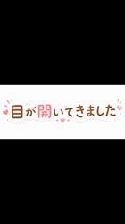 竹澤まりブリーダーのブログ：目が開いてきました