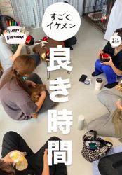 五十嵐千枝ブリーダーのブログ：おめでとう＼(^o^)／