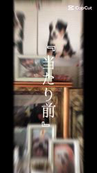 小川正人ブリーダーのブログ：夏の終わり