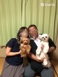 小川正人ブリーダーのブログ：我が家を卒業してからの暮らし
