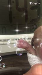 小川正人ブリーダーのブログ：お迎え日