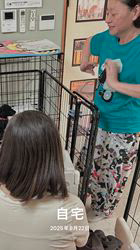 松原香里ブリーダーのブログ：ワクワク🥰ドキドキ💓犬舎見学の様子🥰