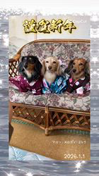 狩野ちのぶブリーダーのブログ：2026年