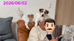古城裕治ブリーダーのブログ：犬達はパパが大好き😊