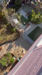 藤川礼子ブリーダーのブログ：生命を大切に大切にのびのびと楽しく毎日を過ごしております