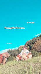 藤川礼子ブリーダーのブログ：HappyHalloween💜🎃
